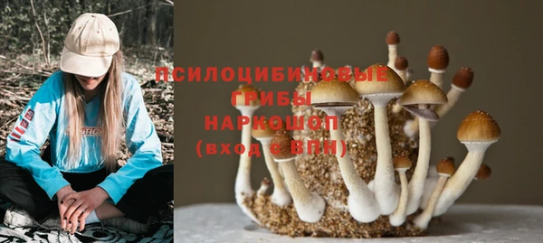 стаф Волосово