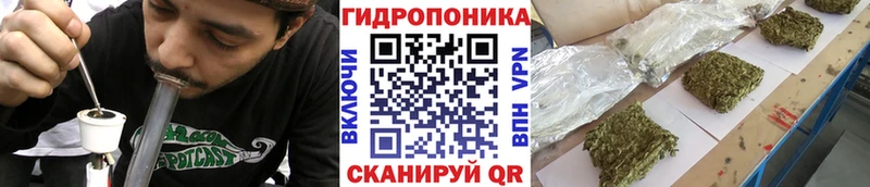 площадка Telegram Тюкалинск Канабис индика где можно купить